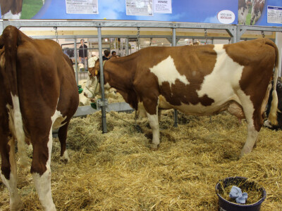 AgriBEX AgriBEX