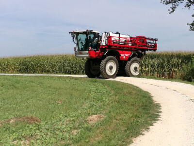 Prezentacija u kukuruzu u Sloveniji