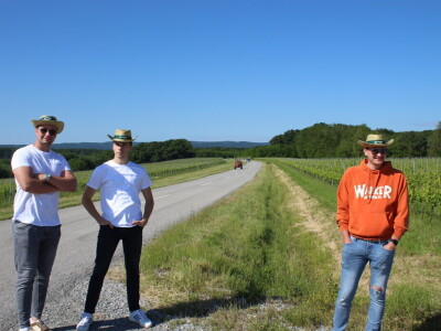 Agrifest 2025 Feričanci Galerija