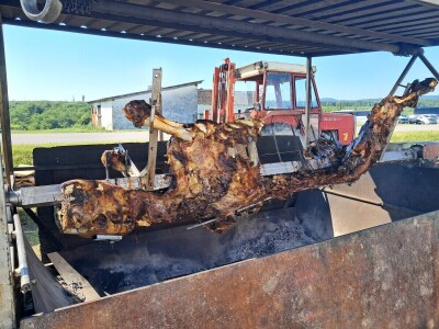 Agrifest 2025 Feričanci Galerija