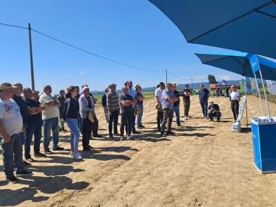 Agrifest 2025 Feričanci Galerija