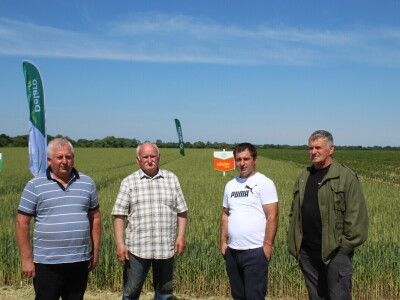 Agrifest 2025 Feričanci Galerija