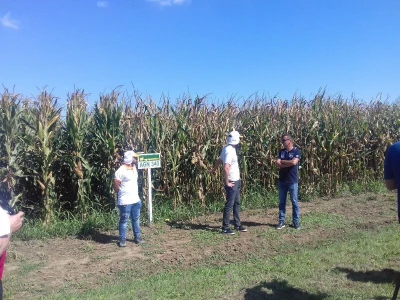 Agrigenetics i American genetics