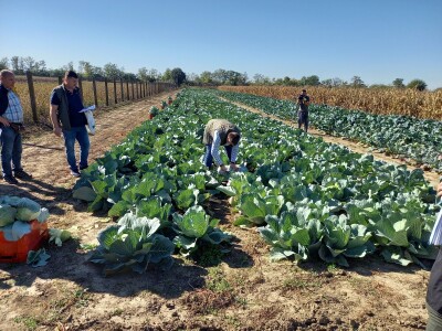 Agrimatco: Dani polja 2022. - Čelarevo