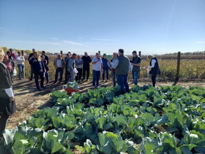 Agrimatco: Dani polja 2022. - Čelarevo