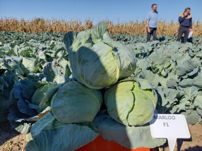 Agrimatco: Dani polja 2022. - Čelarevo