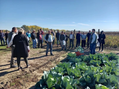 Agrimatco: Dani polja 2022. - Čelarevo