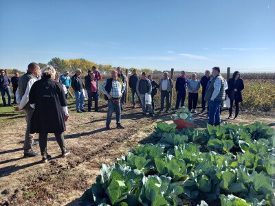 Agrimatco: Dani polja 2022. - Čelarevo