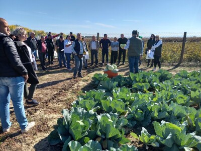 Agrimatco: Dani polja 2022. - Čelarevo