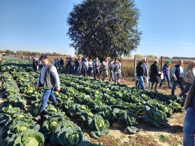 Agrimatco: Dani polja 2022. - Čelarevo