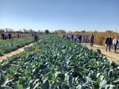 Agrimatco: Dani polja 2022. - Čelarevo