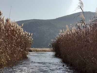 Agro etno park Žabac- Slat Fest