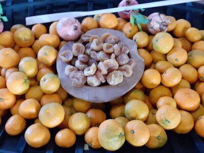 Agro etno park Žabac- Slat Fest