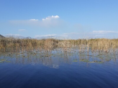 Agro etno park Žabac- Slat Fest