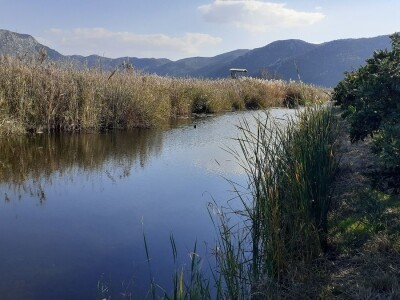 Agro etno park Žabac- Slat Fest