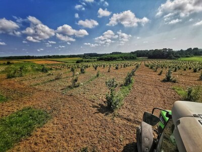 Agro HAHA, obrt u poljoprivredi