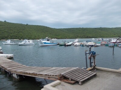 Uzgajalište morske ribe u Budavi