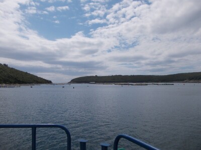 Uzgajalište morske ribe u Budavi