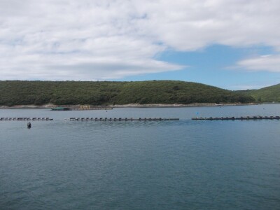 Uzgajalište morske ribe u Budavi