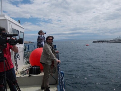 Uzgajalište morske ribe u Budavi