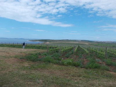 Lokacija Punta Greka