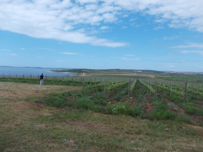 Lokacija Punta Greka