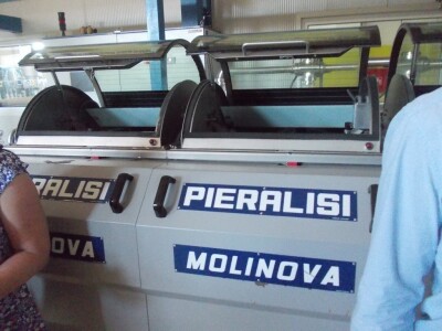 Istarsko maslinarstvo