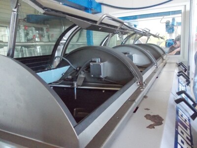 U uljaru se plodovi dovoze odmah poslije berbe