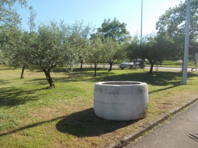 Istarsko maslinarstvo