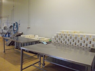 Sirci dobivaju mjesto u svojim kalupima i već za sat vremena postaju škripavci