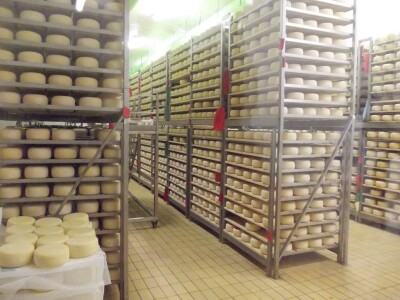 Istarski sir Špinut