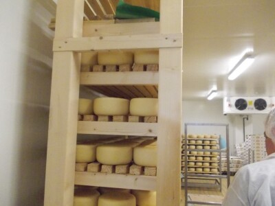 Istarski sir Špinut