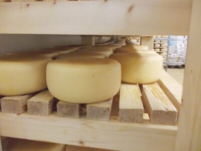 Zrenje sira je tradicionalno i odvija se na daskama kao prirodnom mediju