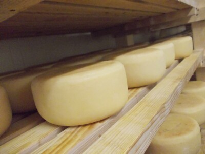 Zrenje sira je tradicionalno i odvija se na daskama kao prirodnom mediju