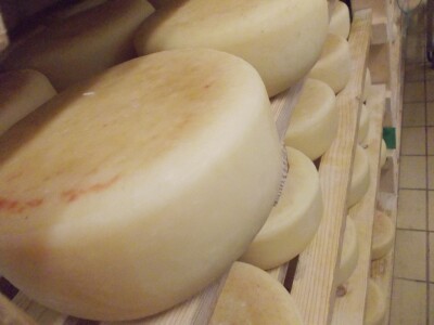 Istarski sir Špinut