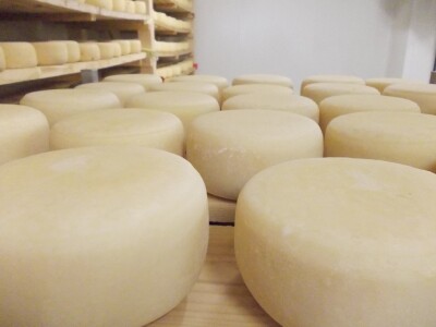 Istarski sir Špinut