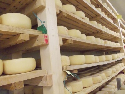 Nakon zrenja slijedi četkanje