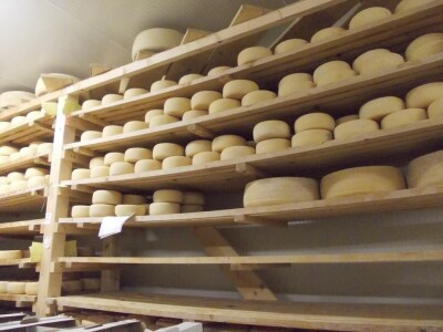 Istarski sir Špinut