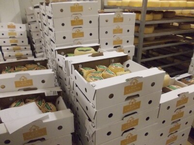 Istarski sir Špinut