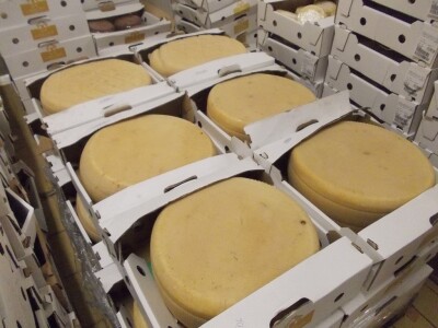 Istarski sir Špinut