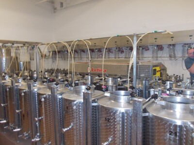 Detalj iz podruma porečkog Instituta