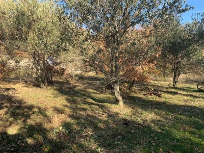 Agro turistički objekt u Katunima, općina Šestanovac