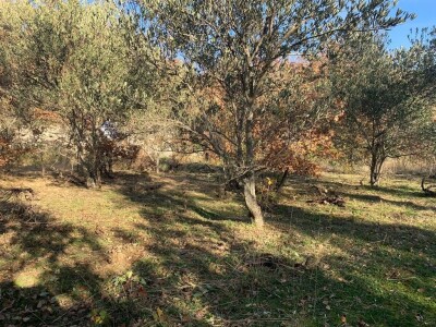 Agro turistički objekt u Katunima, općina Šestanovac Agro turistički objekt u Katunima, općina Šestanovac