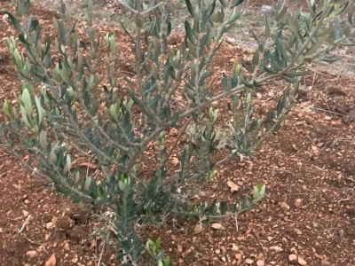 Agro turistički objekt u Katunima, općina Šestanovac