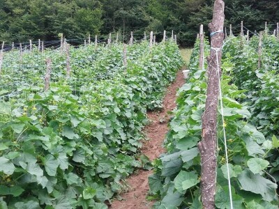 Agro-Velić iz iz Velike Kladuše