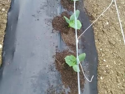 Agro-Velić iz iz Velike Kladuše