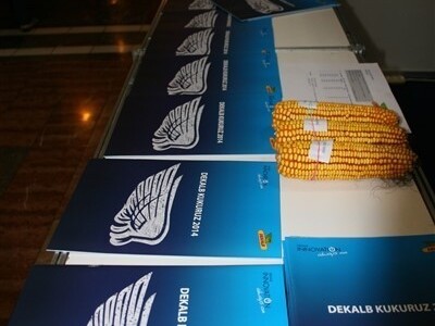 Dekalb promo materijali