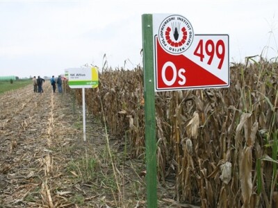 Sajam Agro Zemlja 2012. - 1. Festival hibrida kukuruza