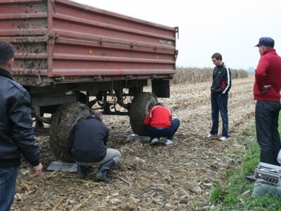 Sajam Agro Zemlja 2012. - 1. Festival hibrida kukuruza, priprema za vaganje