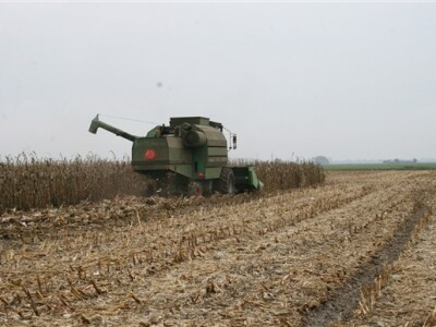 Sajam Agro Zemlja 2012. - 1. Festival hibrida kukuruza